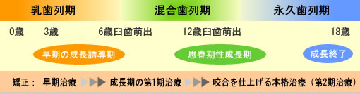 矯正治療とは金具が付いている治療？