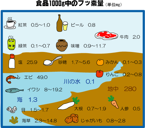 フッ素って効果あるの？安全なの？