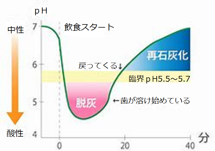 寝る前の飲食がよくないわけ 就寝前の歯みがき 