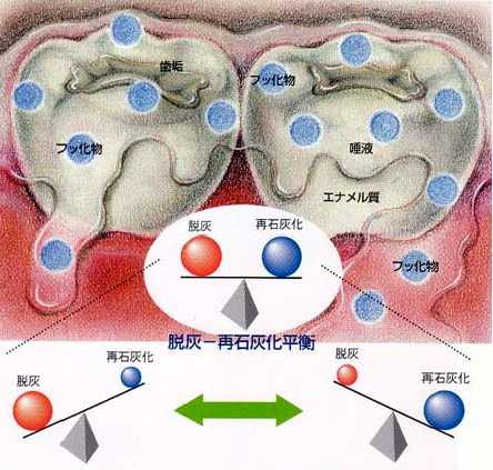 寝る前の飲食がよくないわけ 就寝前の歯みがき 