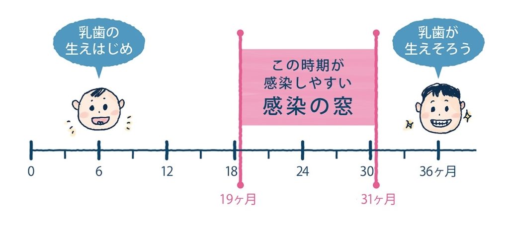 感染の窓－むし歯菌はいつ感染するのか？