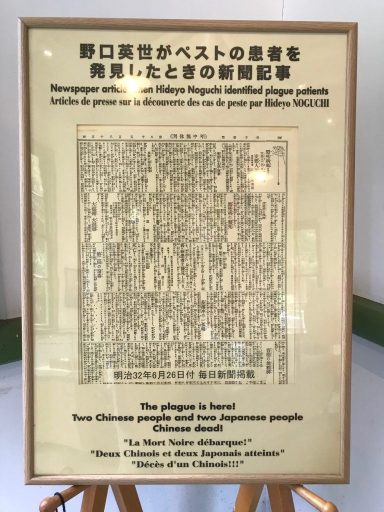 医史跡、医資料館探訪記18 野口英世ゆかりの旧細菌検査室を訪ねて－その１