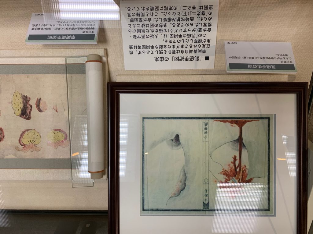 医史跡、医資料館探訪記33 内藤記念くすり博物館を訪ねてー企画展