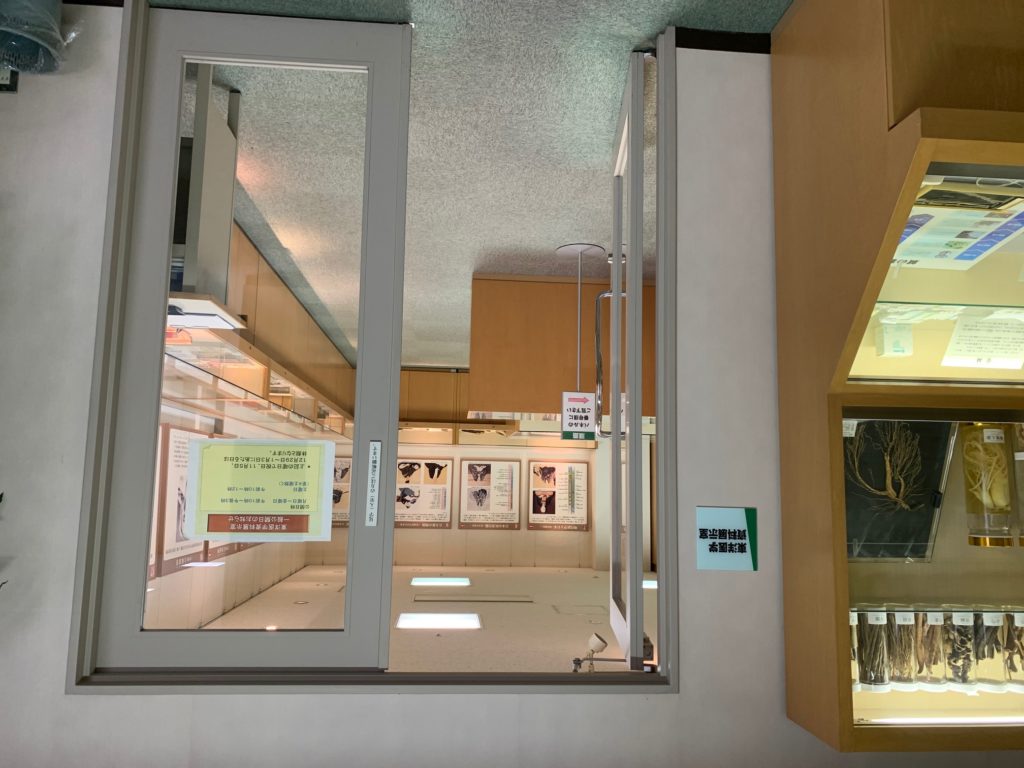 医史跡、医資料館探訪記41 北里大学東洋医学資料展示室を訪ねて