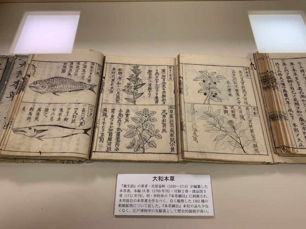 医史跡、医資料館探訪記41 北里大学東洋医学資料展示室を訪ねて