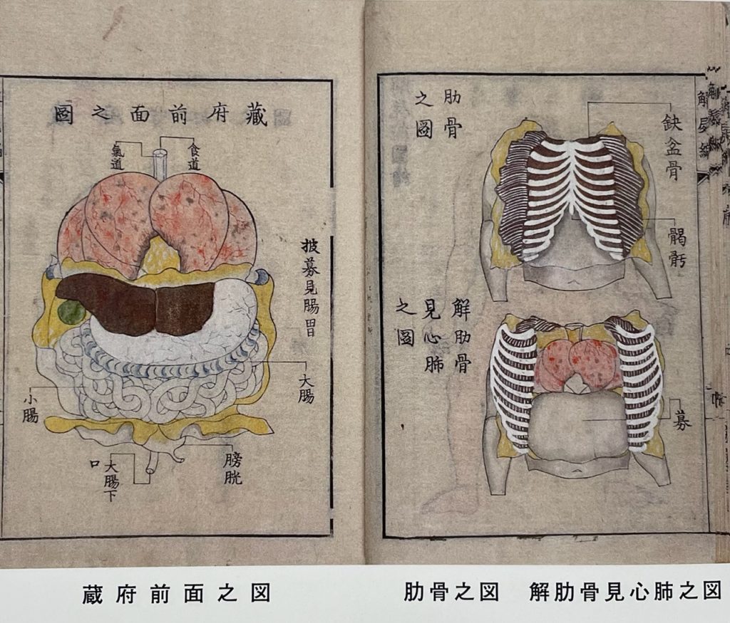 医史跡、医資料館探訪記59 日本初の頭部解剖を行った河口信任ゆかりの地を訪ねて